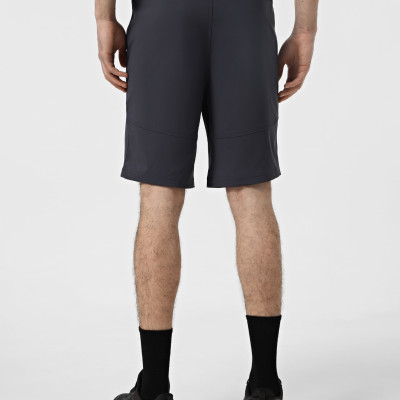 Men's shorts Larum Riged dark gray 422508-020