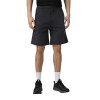 Men's shorts Larum Quantum gray 812502-011