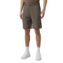 Men's shorts Larum Quantum khaki 812502-350