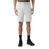 Men's shorts Larum Reverie beige 102510-125