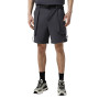 Men's shorts Larum Everett dark gray 172521-020