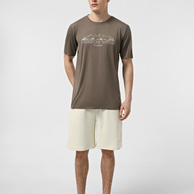 Men's T-shirt Larum Dylan brown 942501-200