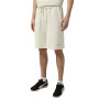 Men's shorts Larum Evander gray 792506-011