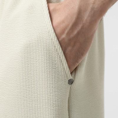 Men's shorts Larum Evander gray 792506-011