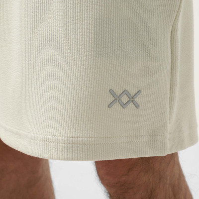 Men's shorts Larum Evander gray 792506-011