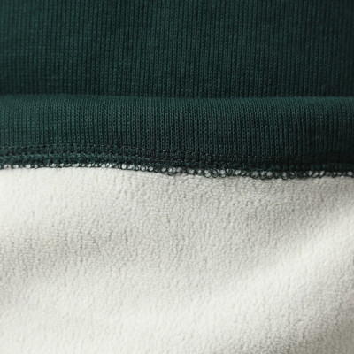 Men's sweatshirt Larum Jasper green 652503-310