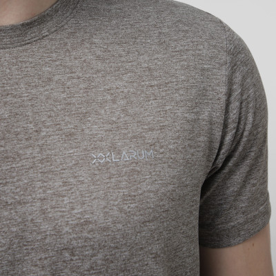 Men's T-shirt Larum Vireon brown 102605-200