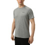 Men's T-shirt Larum Juvia gray 942601-011