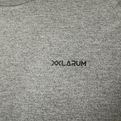 Men's T-shirt Larum Juvia gray 942601-011