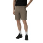 Men's shorts Larum Chen brown 432501-200